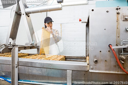 Image of Young Beekeeper Working On Honey Extraction Plant