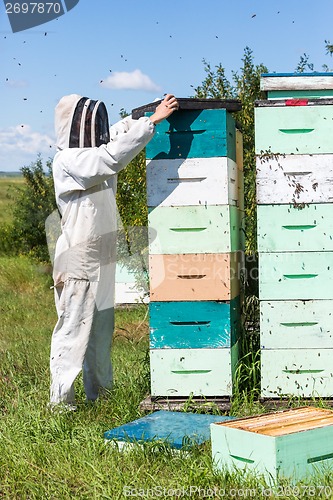 Image of Beekeeper Using Fume Board on Hive