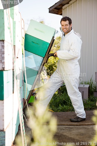 Image of Beekeeper Smiling While Loading Stacked Honeycomb Crates In Truc