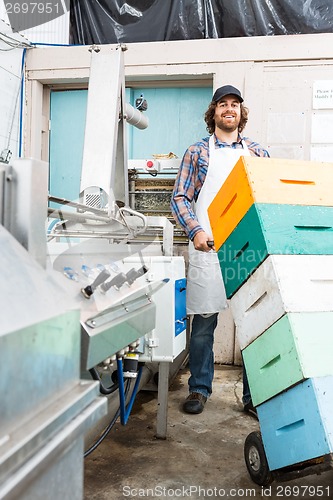 Image of Beekeeper Holding Trolley Of Stacked Honeycomb Crates