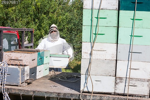 Image of Beekeeper Loading Honeycomb Crate In Truck