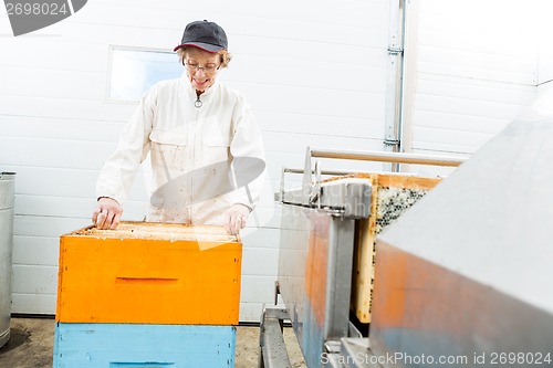 Image of Beekeeper With Honeycomb Crates Working In Factory