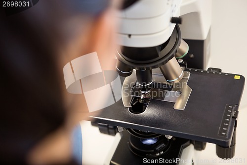 Image of Scientist Using Microscope In Laboratory