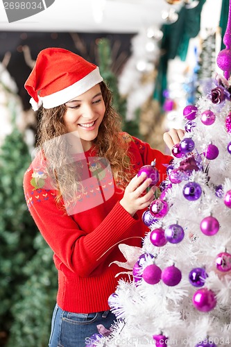 Image of Owner Decorating Christmas Tree