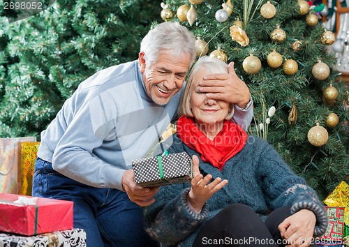 Image of Senior Man Surprising Woman With Christmas Gifts In Store