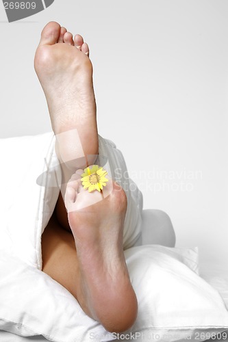 Image of Feet in Bed