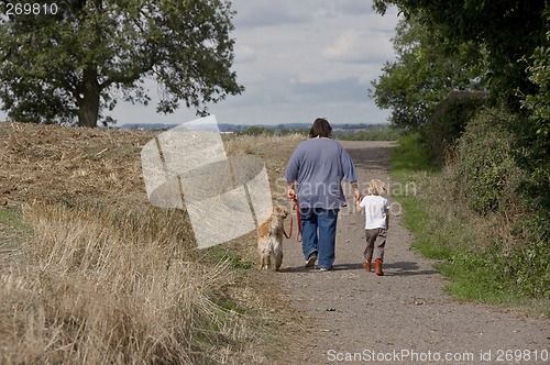 Image of Walk in the country