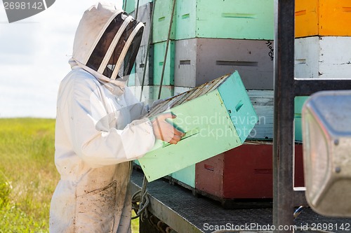 Image of Beekeeper Carrying Honeycomb Crate At Apiary