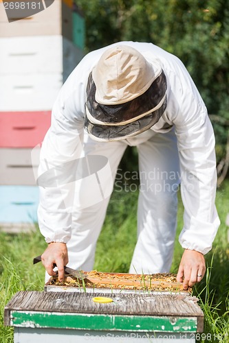 Image of Beekeeper Working In His Apiary