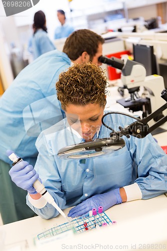 Image of Scientist Experimenting In Laboratory