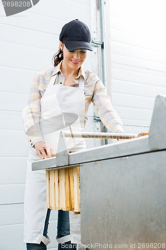 Image of Beekeeper Collecting Honeycombs In Factory