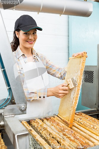 Image of Female Beekeeper Brushing Honeycomb