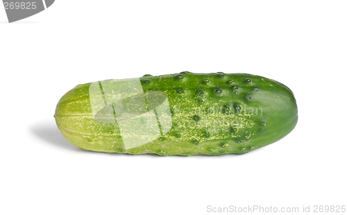 Image of Cucumber