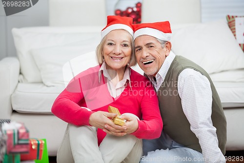 Image of Smiling Senior Couple Wearing Santa Hats