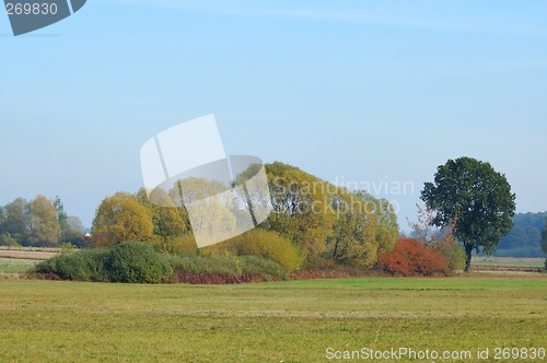 Image of Landscape