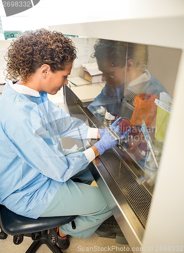 Image of Researcher Experimenting In Laboratory