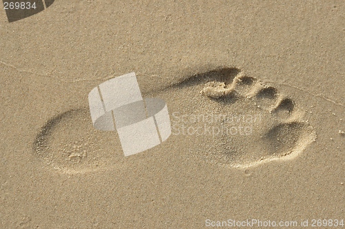 Image of Footprint