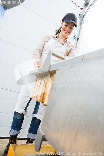 Image of Beekeeper Collecting Honeycombs At Beekeeping Factory