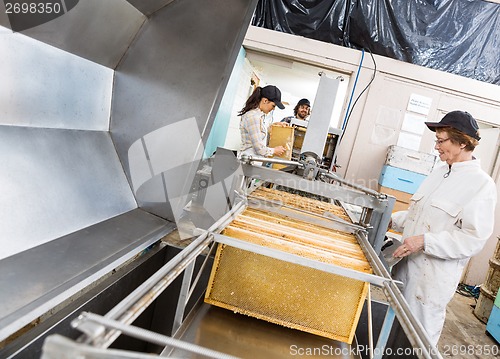 Image of Beekeepers Extracting Honey From Machine