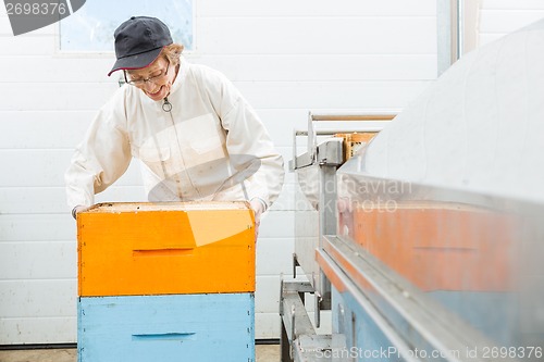 Image of Beekeeper With Honeycomb Crates At Factory