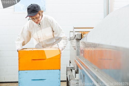 Image of Beekeeper With Honeycomb Crates At Factory