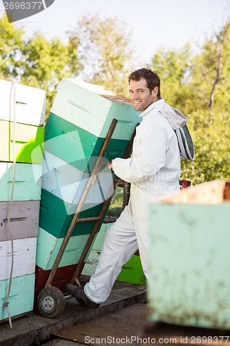 Image of Beekeeper Smiling While Stacking Honeycomb Crates In Truck