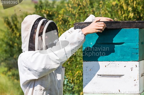 Image of Beekeeper With Fume Board