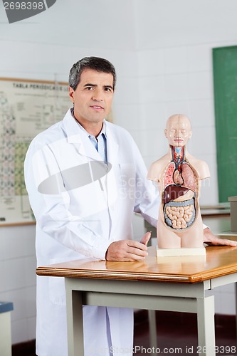 Image of Confident Teacher Standing With Anatomical Model At Desk