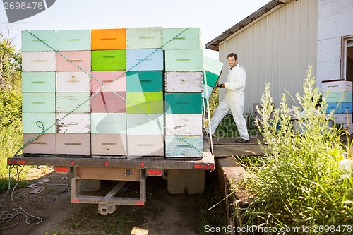 Image of Beekeeper Loading Honeycomb Crates In Truck