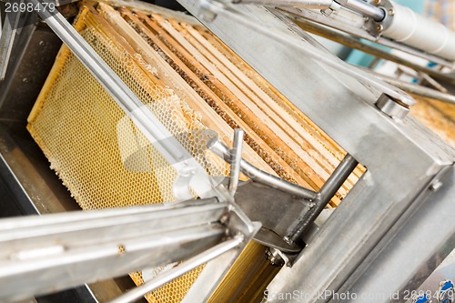 Image of Closeup Of Honey Extraction Plant