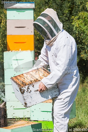 Image of Male Beekeeper Carrying Honeycomb Crate