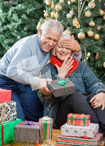 Image of Man Surprising Senior Woman With Christmas Gifts In Store