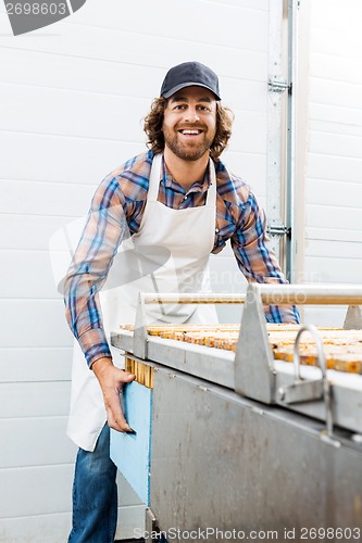 Image of Beekeeper Collecting Honeycombs In Box