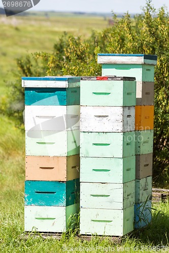 Image of Multicolored Honeycomb Crates