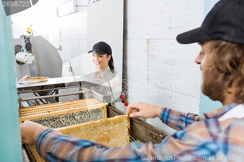 Image of Beekeeper With Colleague Working In Beekeeping Factory