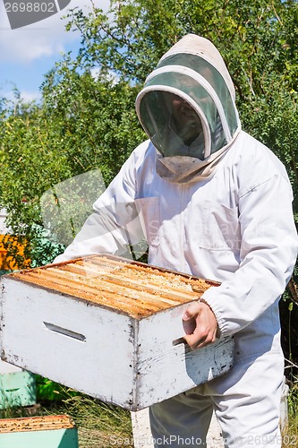 Image of Male Beekeeper Carrying Honeycomb Box At Apiary