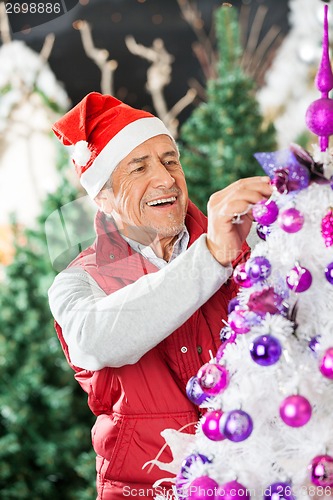 Image of Happy Owner Decorating Christmas Tree