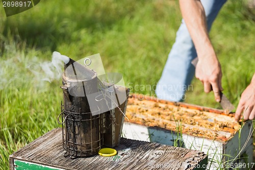 Image of Bee Smoker With Apiarist Working On Farm
