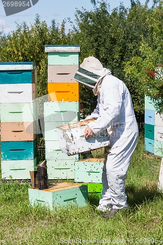 Image of Male Beekeeper Carrying Honeycomb Crate