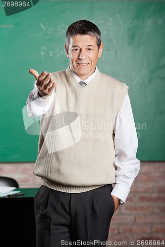 Image of Confident Professor Gesturing In Classroom