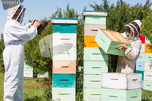 Image of Beekeepers Working At Apiary