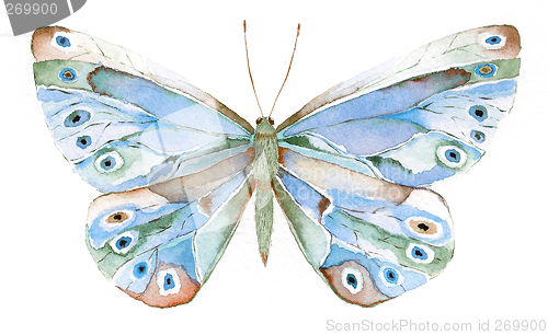 Image of blue and green fantasy butterfly