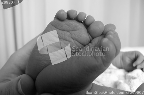 Image of holding newborn baby's feet