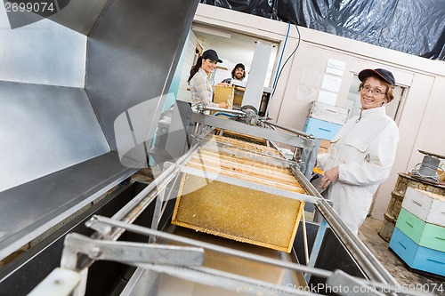 Image of Portrait Of Beekeeper Working On Honey Extraction Plant