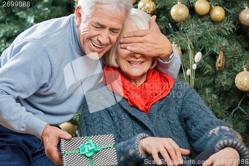 Image of Man Surprising Senior Woman With Christmas Gifts