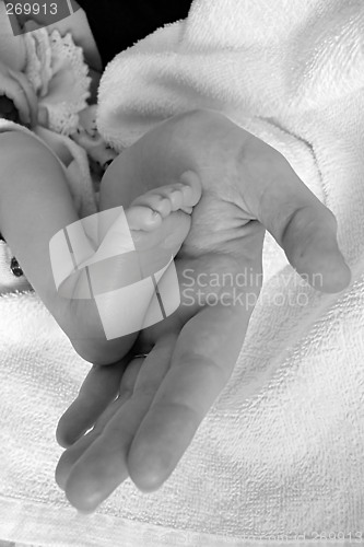 Image of holding foot of newborn baby girl