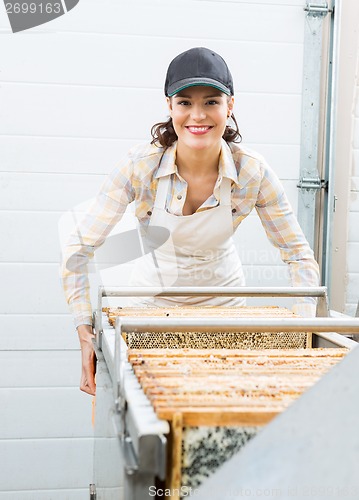 Image of Beekeeper Working with Extractor