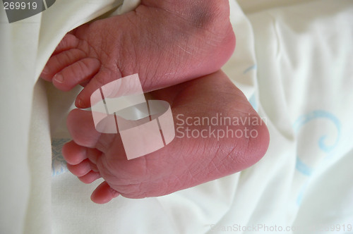 Image of newborn baby feet