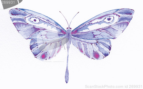 Image of purple fantasy butterfly