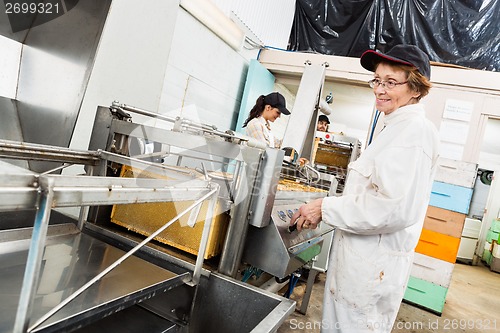 Image of Female Beekeeper Working On Honey Extraction Plant